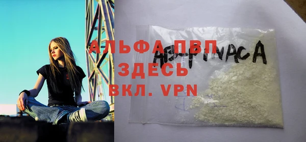 сатива Белоозёрский