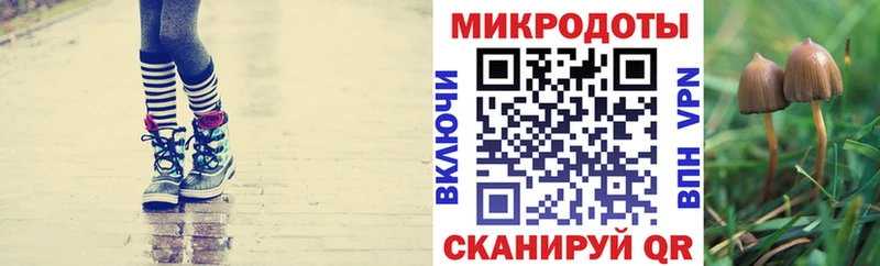 ссылка на мегу ONION  Курильск  Псилоцибиновые грибы ЛСД 